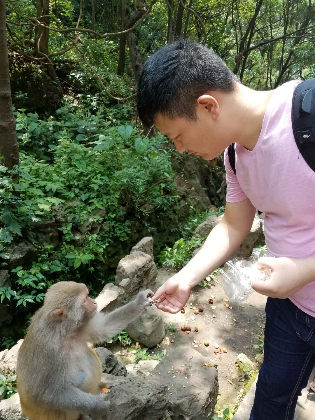 黔灵山逗猴记
